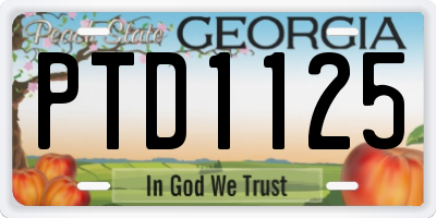 GA license plate PTD1125