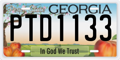 GA license plate PTD1133