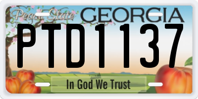 GA license plate PTD1137