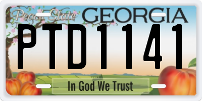 GA license plate PTD1141
