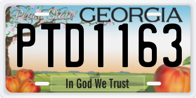 GA license plate PTD1163