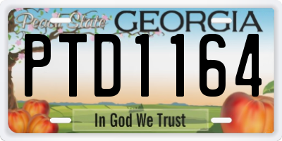 GA license plate PTD1164