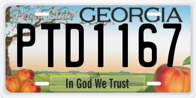 GA license plate PTD1167