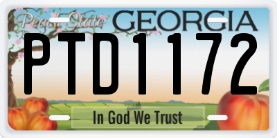 GA license plate PTD1172