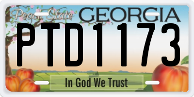 GA license plate PTD1173