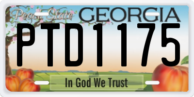 GA license plate PTD1175