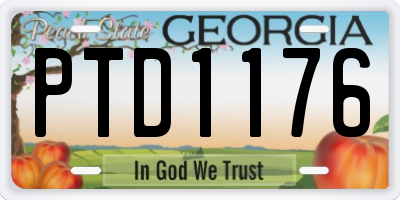 GA license plate PTD1176