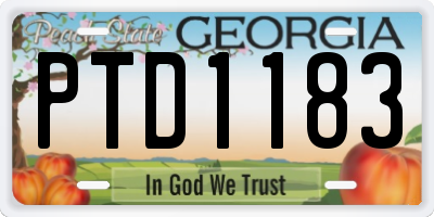 GA license plate PTD1183