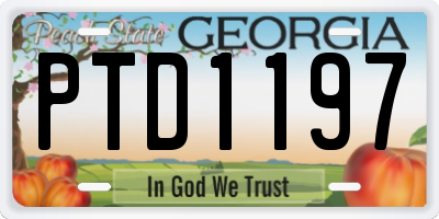 GA license plate PTD1197