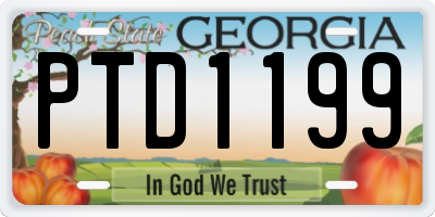 GA license plate PTD1199