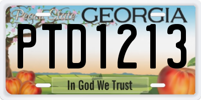 GA license plate PTD1213