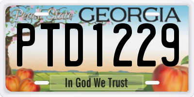 GA license plate PTD1229