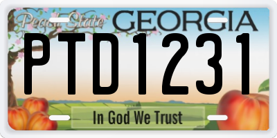 GA license plate PTD1231