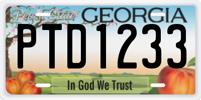 GA license plate PTD1233