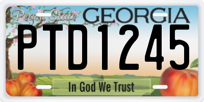 GA license plate PTD1245