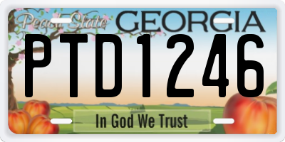 GA license plate PTD1246