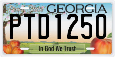 GA license plate PTD1250