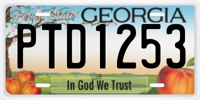 GA license plate PTD1253