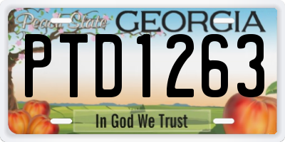 GA license plate PTD1263