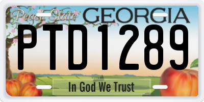 GA license plate PTD1289