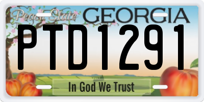 GA license plate PTD1291
