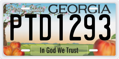 GA license plate PTD1293