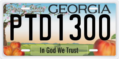 GA license plate PTD1300
