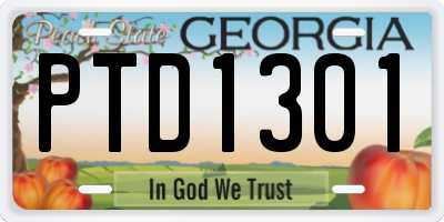 GA license plate PTD1301