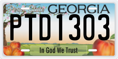 GA license plate PTD1303