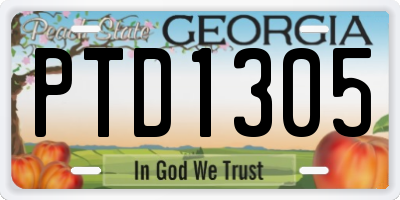 GA license plate PTD1305