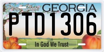 GA license plate PTD1306