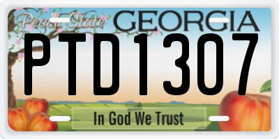 GA license plate PTD1307