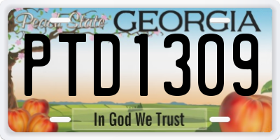 GA license plate PTD1309