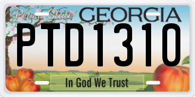 GA license plate PTD1310