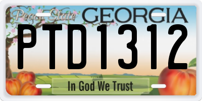 GA license plate PTD1312