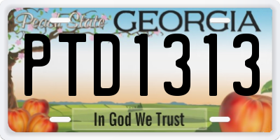GA license plate PTD1313