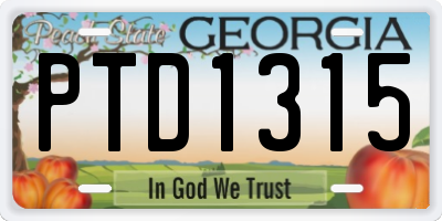 GA license plate PTD1315