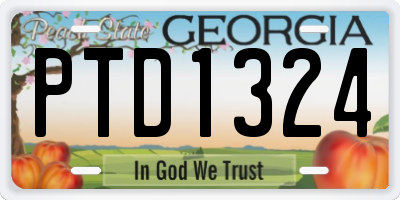 GA license plate PTD1324