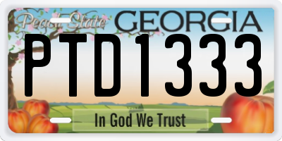 GA license plate PTD1333