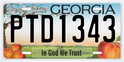 GA license plate PTD1343