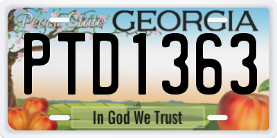 GA license plate PTD1363
