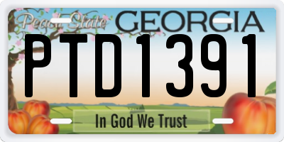 GA license plate PTD1391