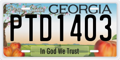 GA license plate PTD1403