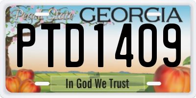 GA license plate PTD1409