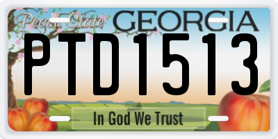 GA license plate PTD1513