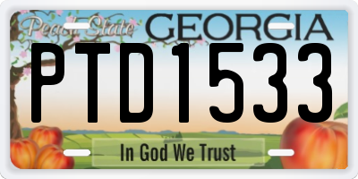GA license plate PTD1533