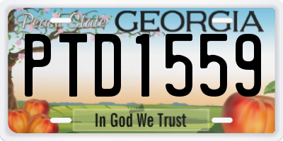 GA license plate PTD1559