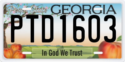 GA license plate PTD1603