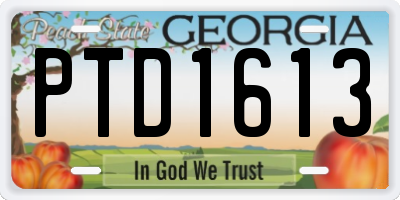 GA license plate PTD1613
