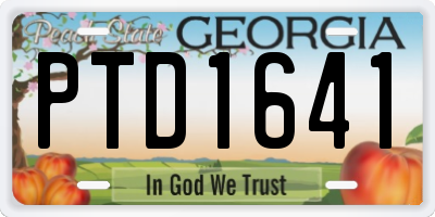 GA license plate PTD1641